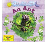 An Ant