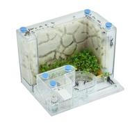 An ant formicarium,Behavior Acrylic Ant Castle With Activity Area Clear Farm Interactive Science Puzzle Game Nest Educational Ant House