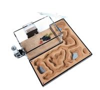 An ant formicarium,Behavior Acrylic Ant Farm Nest Habitat Educational House For Enthusiasts Educational Ant House