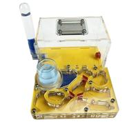 An ant formicarium,Behavior Acrylic Ant Nest Farm Double Water Tower With Feeding Area For Lovers Educational Ant House(Yellow)