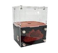 An ant formicarium,Behavior Acrylic Ant Nest For Queen & Small Colony With Expandable Port Educational Ant House(Rosso)