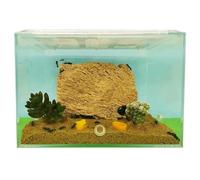 An ant formicarium,Behavior Ant Castle Acrylic Farm Clear Nest Workshop Breeding Room Scientific Observation Educational Ant House(M)