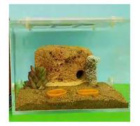 An ant formicarium,Behavior Ant Castle Acrylic Farm Clear Nest Workshop Breeding Room Scientific Observation Educational Ant House(S)