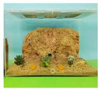 An ant formicarium,Behavior Ant Castle Acrylic Farm Clear Nest Workshop Breeding Room Scientific Observation Educational Ant House(L)