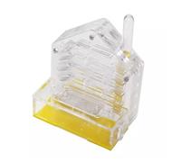 An ant formicarium,Behavior Ant Castle Education And Learning Natural Science Kit Habitat Acrylic Farm Cottage Farmhouse Educational Ant House