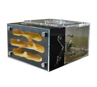 An ant formicarium,Behavior Ant Castle Imitation Original Ecological Concrete Nest Workshop Home Farm Educational Ant House