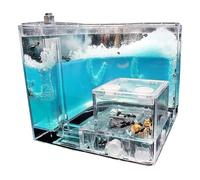 An ant formicarium,Behavior Ant Castle Observation Kit Learn Behavior At Home School Farm Tunnel Nest Educational Ant House