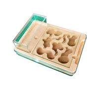 An ant formicarium,Behavior Ant Castle Plaster Farm Flat Nest Watch Dig House Tunnel Educational Ant House