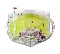 An ant formicarium,Behavior Ant Castle Studio Habitat Farm Education And Learning Science Kit Nest For Educational Ant House(Yellow)