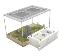 An ant formicarium,Behavior Ant Castle Study Ants' Ecosystem Behavior Farm Educational Learning Science Kit Nest Educational Ant House(Clear)