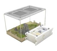 An ant formicarium,Behavior Ant Castle Study Ants' Ecosystem Behavior Farm Educational Learning Science Kit Educational Ant House