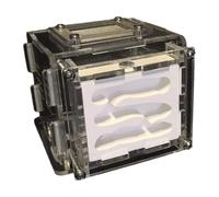 An ant formicarium,Behavior Ant Castle Transparent Ecological Workshop Farm Nest Watching Educational Ant House