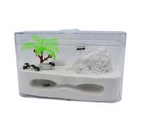 An ant formicarium,Behavior Ant Farm Castle Gypsum Habitat For Ants Feeding Ecosystem Science Experiment Formicarium Educational Ant House