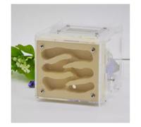 An ant formicarium,Behavior Ant Farm Diy Habitat House With Feeding Area Nest Ecological Workshop Castle Educational Ant House(Yellow)