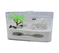 An ant formicarium,Behavior Ant Farm Habitat Nest Feeding Ecosystem Educational Learning Science Kit Castle Educational Ant House