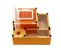 An ant formicarium,Behavior Ant Farm Nest Acrylic Simulation For Ants With Feeding Area Educational Ant House(Orange)