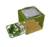 An ant formicarium,Behavior Ant Habitat Castle School Farm Research Biological Behavior Nest Educational Ant House