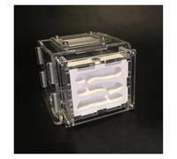 An ant formicarium,Behavior Ant Nest Farm DIY Gypsum Plaster With Feeding Area Moisturize Ecological Workshop Educational Ant House(S)