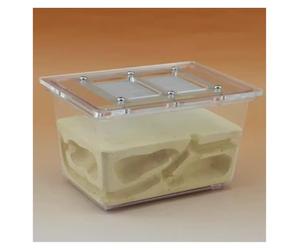 An ant formicarium,Behavior Ant Nest Farm Ecological Pet Three-Dimensional Villa Small Four-Sided Breeding Educational Ant House