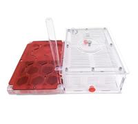 An ant formicarium,Behavior Ant Nest Large Honeycomb Farm Acrylic Habitat For Observation Educational Ant House