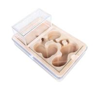 An ant formicarium,Behavior Ant Nest Transparent Habitat For Keeping Enthusiasts Observation Educational Ant House
