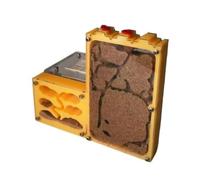 An ant formicarium,Behavior Capacity Ant Castle Acrylic Farm Viewing Habitat Nest Educational Ant House