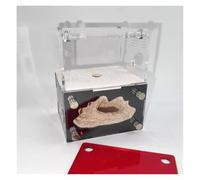 An ant formicarium,Behavior Concrete Ant Farm Hydrating Water Tower Nest Acrylic Castle For Science Education Educational Ant House(White)