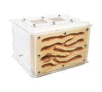 An ant formicarium,Behavior Creative Ant Castle Diy Eco Acrylic Wood Farm With Feeding Area Nest Educational Ant House
