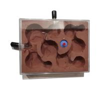 An ant formicarium,Behavior Plaster Ant Castle Watch Ants Dig Tunnels Farm Nest Hill House Educational Ant House(Chocolate)