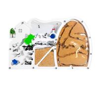 An ant formicarium,Behavior Sand Ant Farm Castle Habitat With Dinosaur Digging To Study Colony Ecosystem Behavior Educational Educational Ant House(Orange)