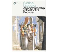 An Apprenticeship or The Book of Pleasures: (Penguin Modern Classics)