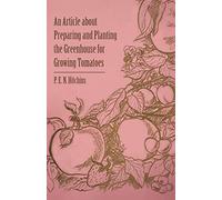 An Article about Preparing and Planting the Greenhouse for Growing Tomatoes