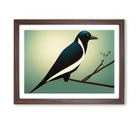 An Astonishing Magpie Bird Framed Print | A2 Walnut Framed Wall Art | Ready to Hang | Modern Nature Picture | Living Room Bedroom Lounge Office