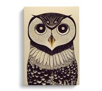 An Astounding Owl Canvas Wall Art Print 30x20 Inch
