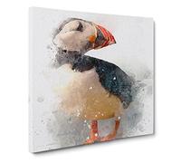 An Atlantic Puffin Canvas Print | Gallery Wrapped 30mm Frame Wall Art | 20x20 inches | Ready to Hang | Modern Picture | Living Room Bedroom Lounge Office