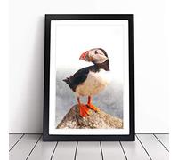 An Atlantic Puffin Framed Wall Art Picture Print - Canvas Painting - Modern Home Décor Poster - Ready to Hang for Living Room Bedroom Kitchen - Black A3 (36 x 48 cm)