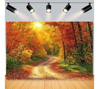 An autumnal photo backdrop showing the beauty of a leafy path as a photo banner and party decoration 300x200CM