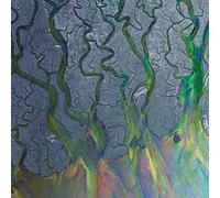 alt-J - An Awesome Wave [VINYL]
