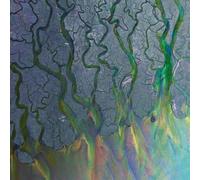 An Awesome Wave by Alt-J (LP Vinyl, 2012)