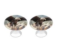 an Eagle Flies Over Cabinet Knob 2 Pack Round Drawer Pull Kitchen Cabinet Hardware Stainless Steel Dresser Drawer Knob Simple Cabinet Pull for Dresser Closet Door Knobs Cupboard