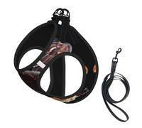 An Eagle Print Harness Leash Set For Cat Dog, Reflective Adjustable Escape-Proof Vest Lead With Soft Breathable Mesh, For Small Pets And Kitten Puppy