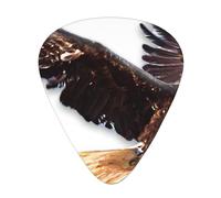 An Eagle Print12 Professional Guitar Tuner For Guitar, Bass, & Chromatic Tuning Modes