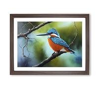 An Effervescent Kingfisher Bird Framed Print | A3 Walnut Framed Wall Art | Ready to Hang | Modern Nature Picture | Living Room Bedroom Lounge Office