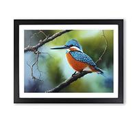 An Effervescent Kingfisher Bird Framed Wall Art Print A2 Black