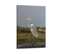 An Elegant Great Egret Stands on A Wooden Post Outdoors Poster Canvas Art And Wall Art Picture Print Modern Family Bedroom Decor 16x24inch(40x60cm)