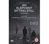 An Elephant Sitting Still