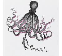 An Emergency - We Are The Octagonists