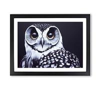 An Enigmatic Owl Framed Print | A2 Black Framed Wall Art | Ready to Hang | Modern Animal Picture | Living Room Bedroom Lounge Office