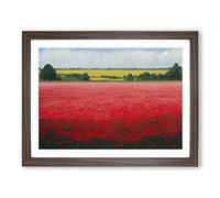 An Enigmatic Poppy Field Flowers H1022 Framed Print for Living Room Bedroom Home Office Décor, Wall Art Picture Ready to Hang, Walnut A2 Frame (64 x 46 cm)