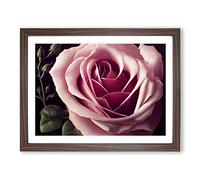 An Exceptional Rose Flower Framed Print | A4 Walnut Framed Wall Art | Ready to Hang | Modern Floral Picture | Living Room Bedroom Lounge Office